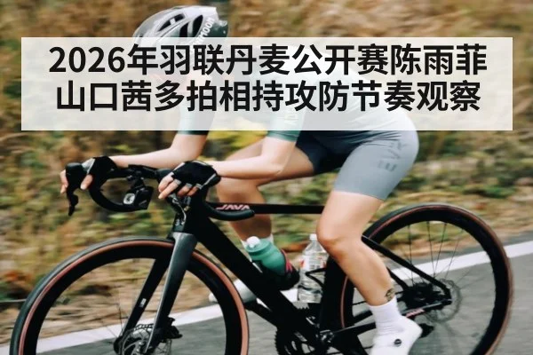 2026年羽联丹麦公开赛陈雨菲山口茜多拍相持攻防节奏观察