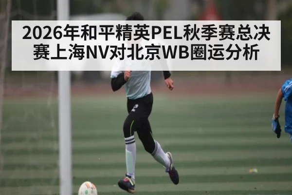2026年和平精英PEL秋季赛总决赛上海NV对北京WB圈运分析